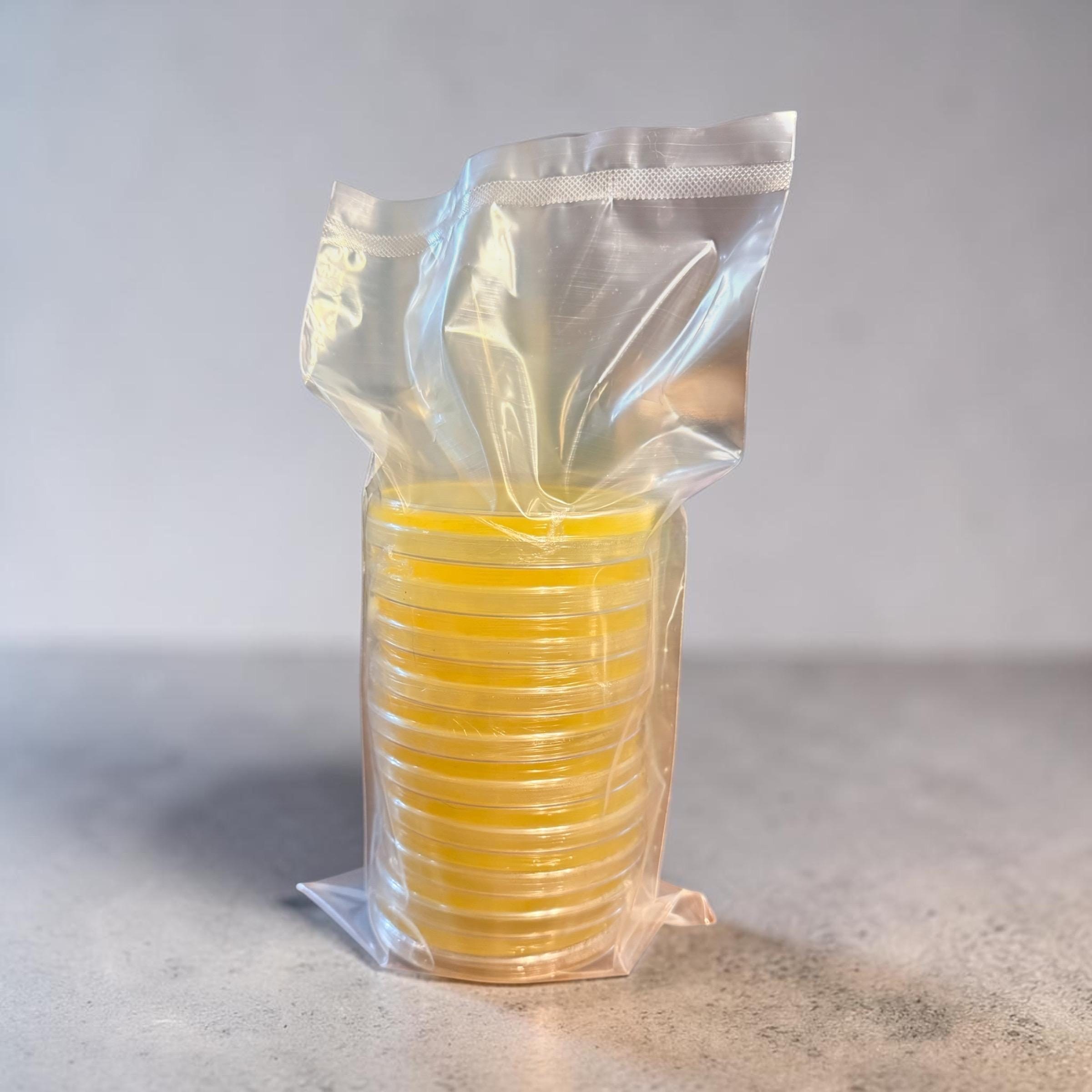 Pre-Poured Agar Petri Dishes 90mm (Activated Charcoal, PDA, MEA, and Low-Nutrient Varieties), product view 9