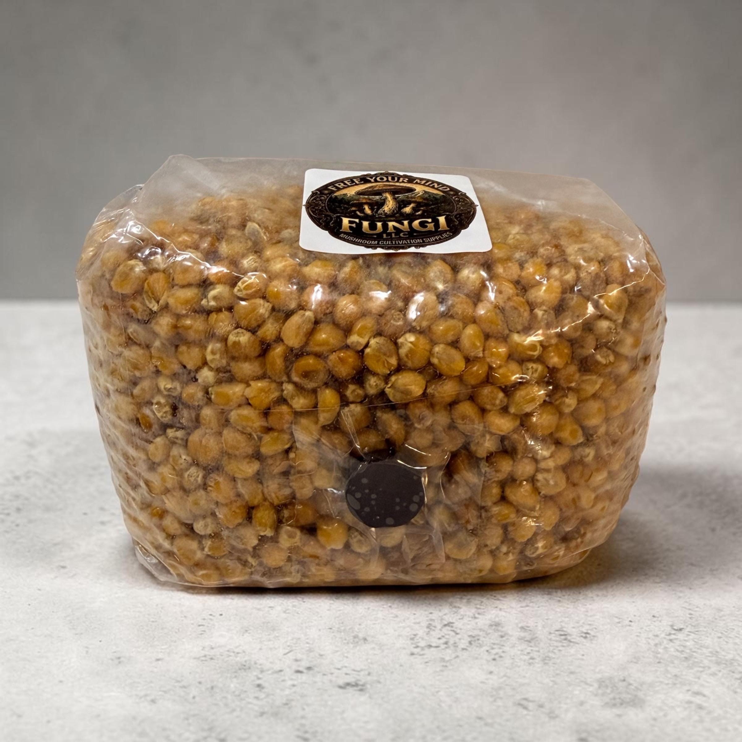Ultimate Drippy Corn Mushroom Grain Spawn