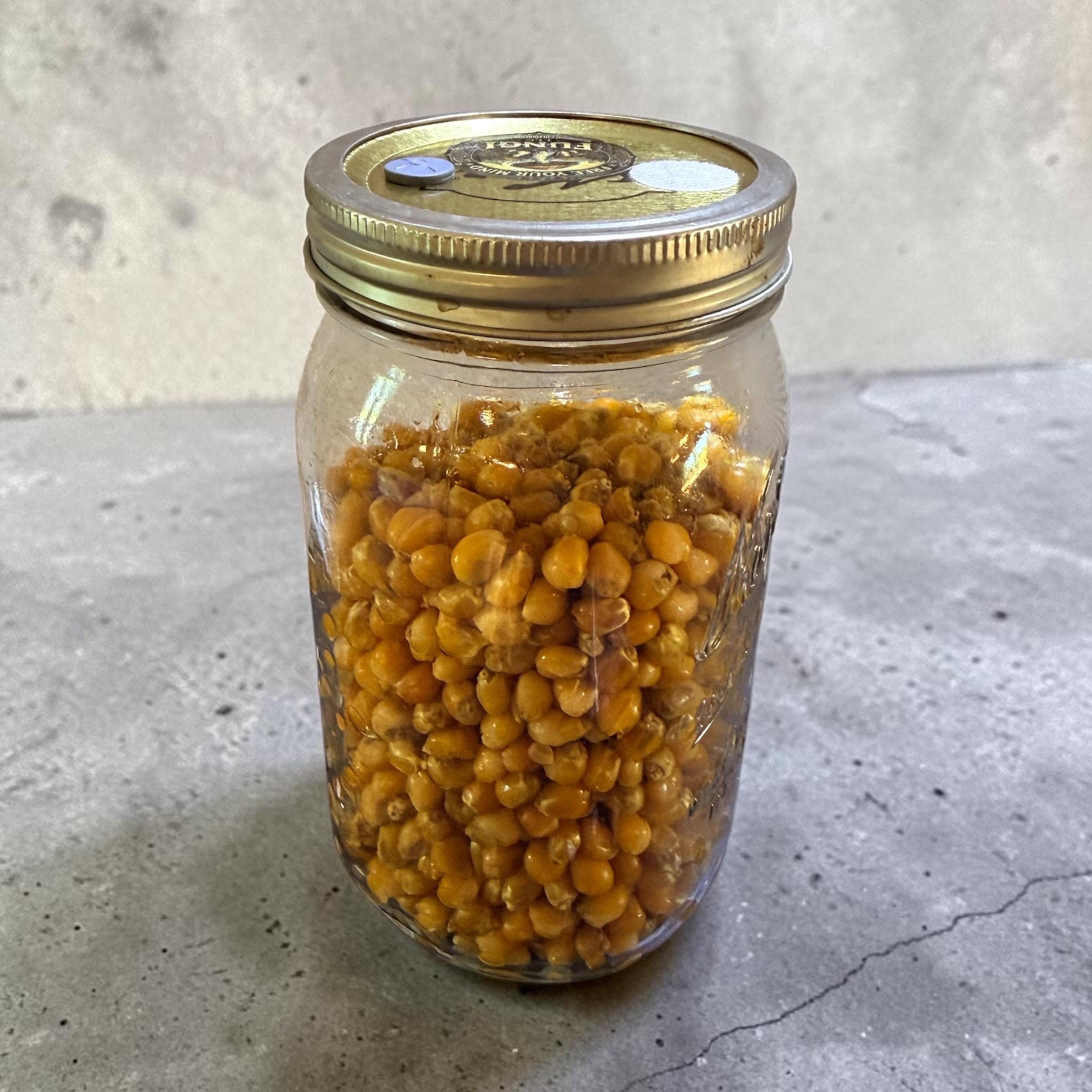 Ultimate Drippy Corn Mushroom Grain Spawn, product view 2