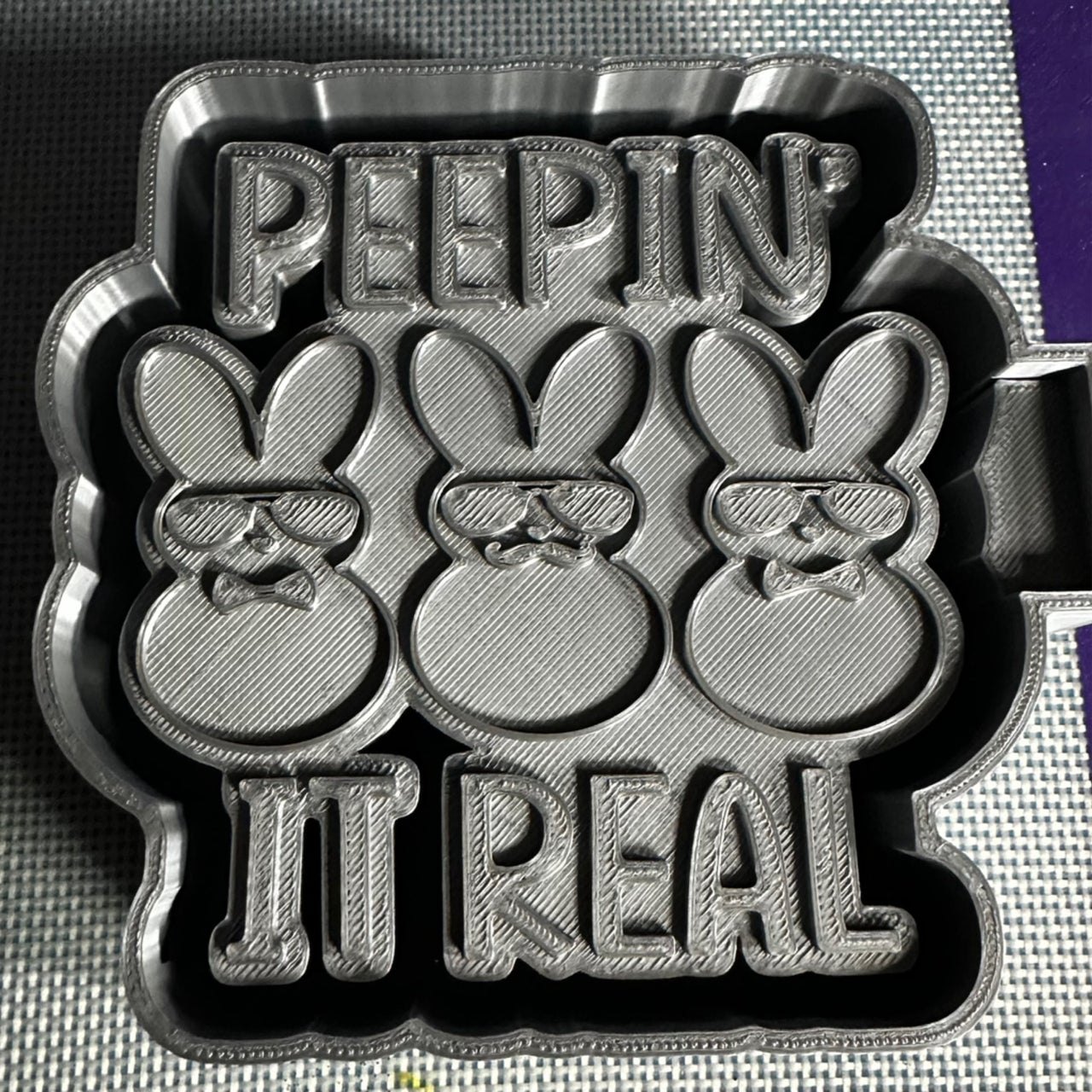 Peepin It Real Mold Housing