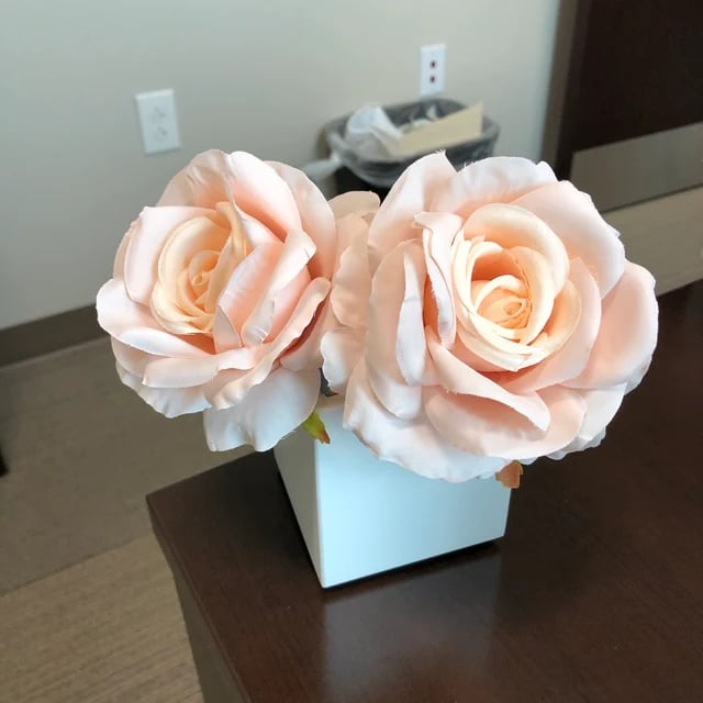 Peach roses arranged in a square vase