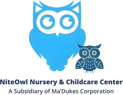 NiteOwl Nursery & Childcare Center owl logo