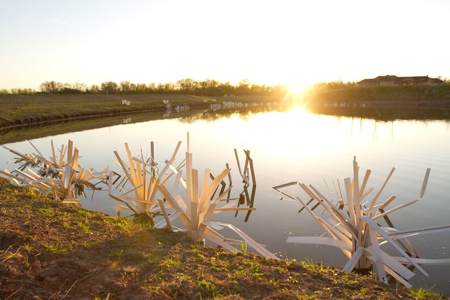 Nebraska lake habitat project at sunset