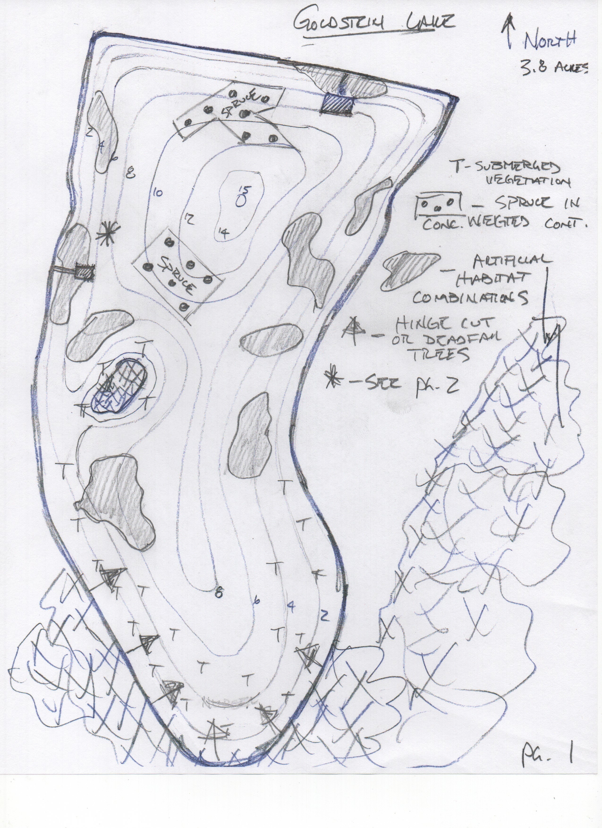 Goldstein Lake custom fish habitat drawing