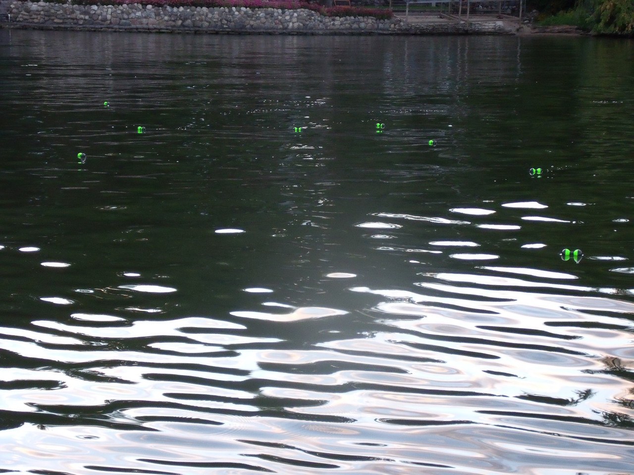Smallspot fish structure spots, view 3
