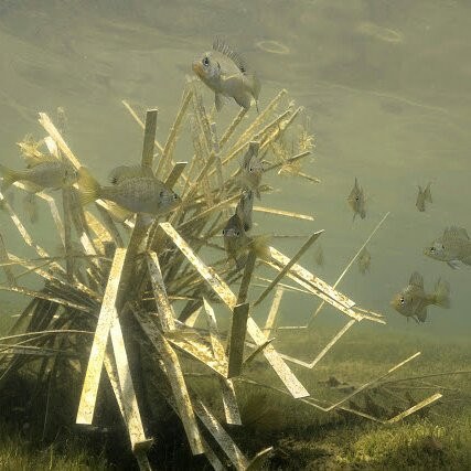 Cradle artificial shallow fry habitat, view 4