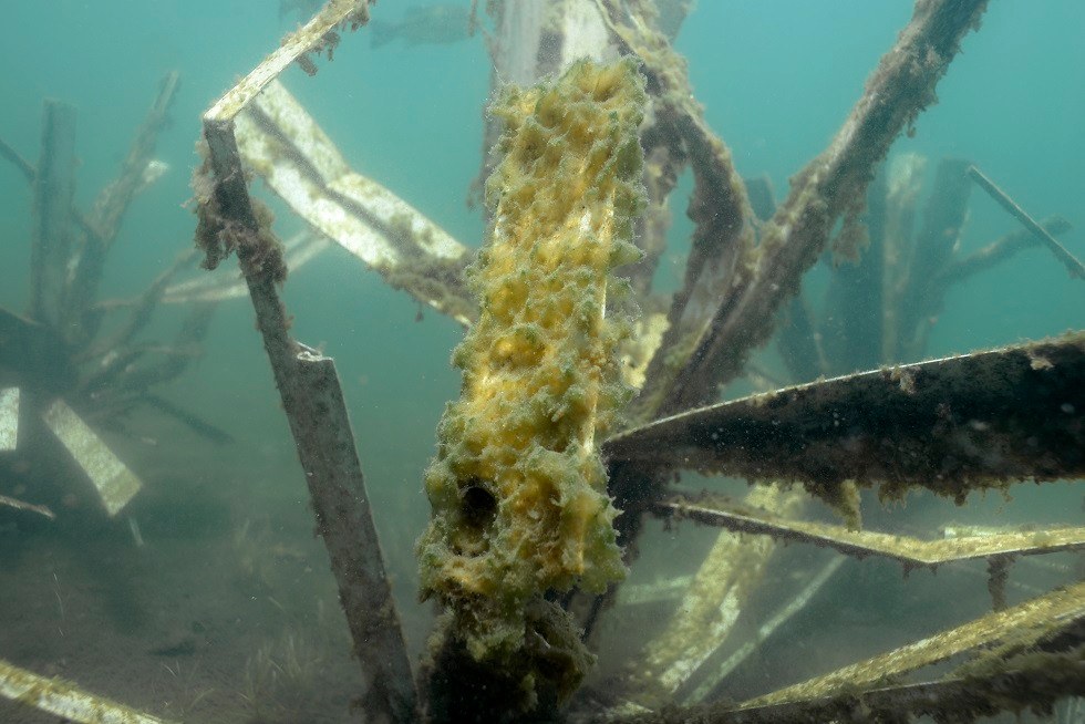 Keeper Artificial Fish Habitat Tree, view 3
