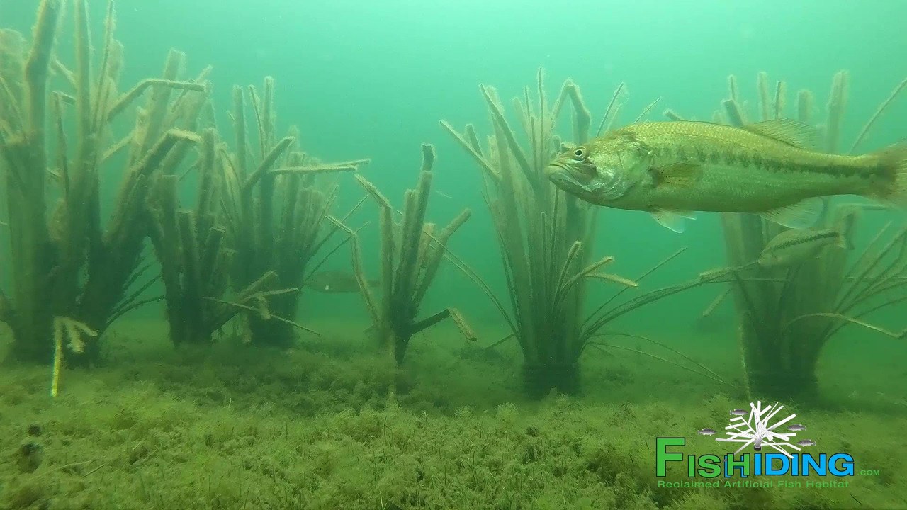 The Bunker Transition Fish Habitat, view 4