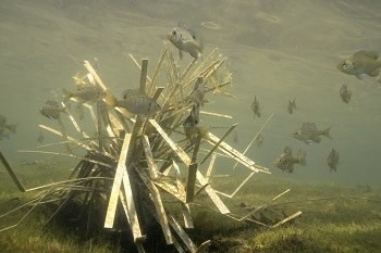 Cradle artificial shallow fry habitat, view 10