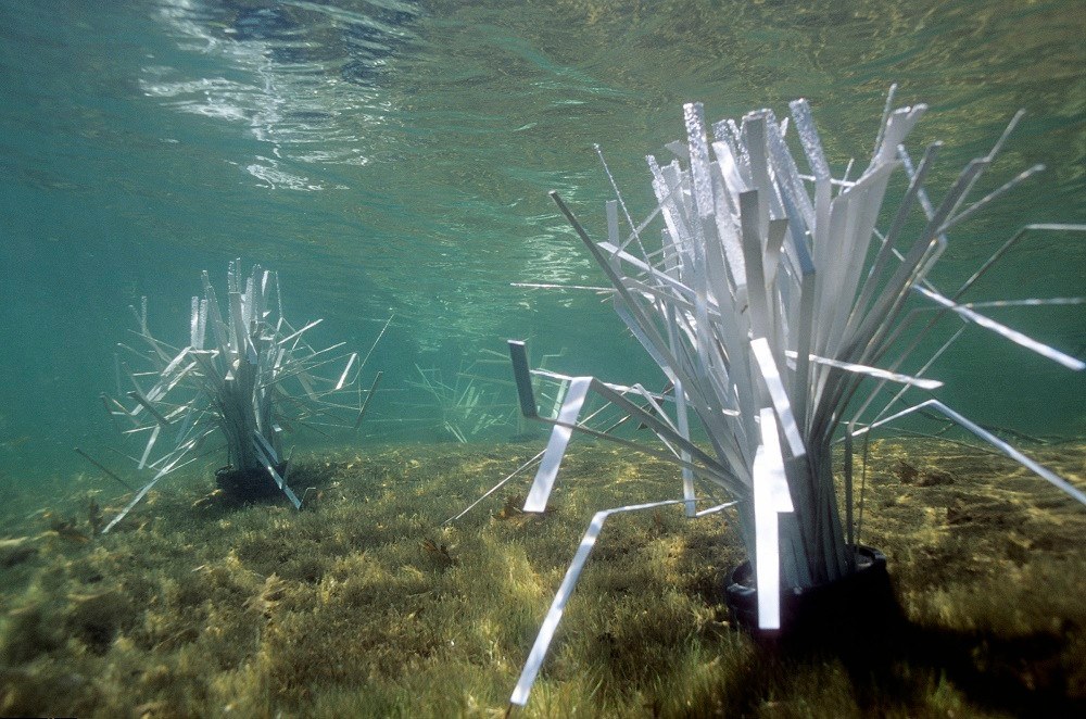 Cradle artificial shallow fry habitat, view 8