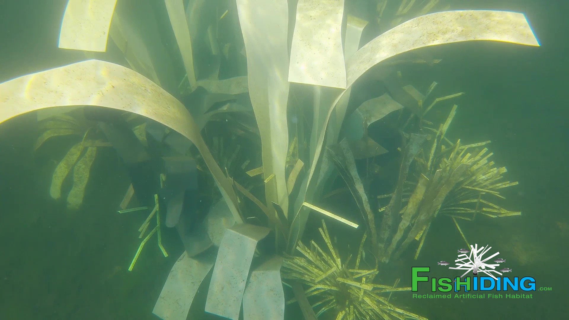 Fish Tree Shleafs DIY Mid Depth Fish Cover, view 8