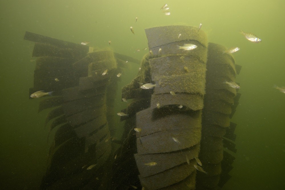 The Fishadow Fish Habitat with Vertical Uprise 2 pack, view 7
