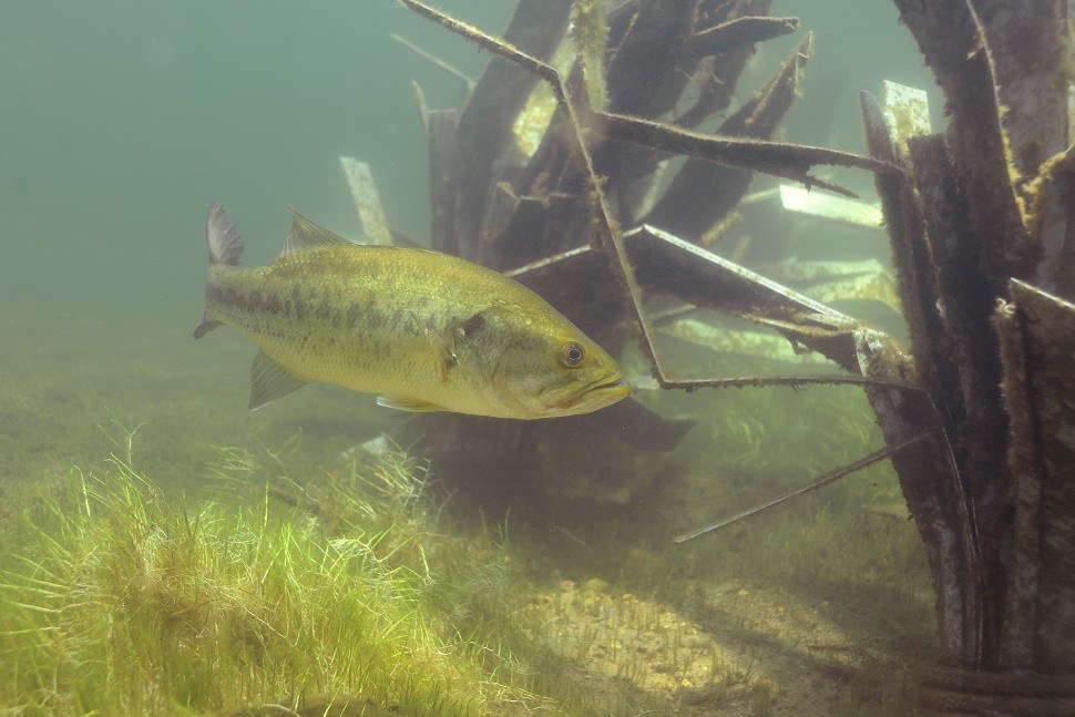 Shallow Transition Fish Habitat Combo Five Pack, view 3