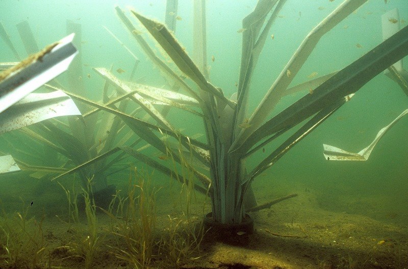 Safehouse Artificial Fish Habitat, view 4