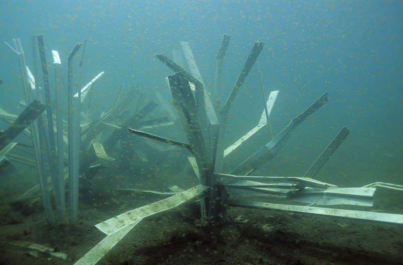 Safehouse Artificial Fish Habitat, view 2