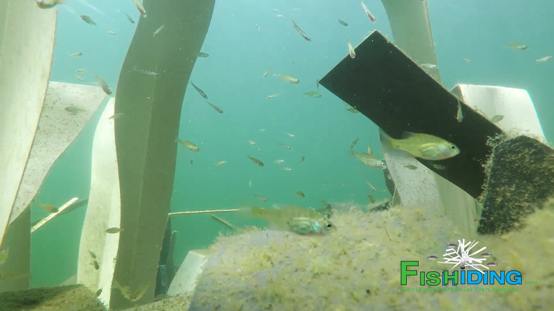 Fish Tree Shleafs DIY Mid Depth Fish Cover, view 9