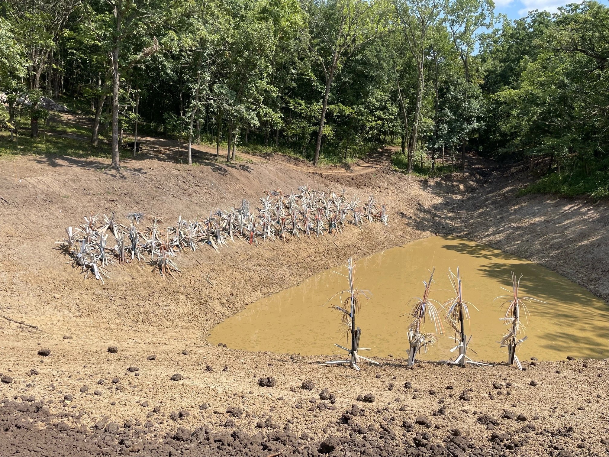 The Palace Ultimate Transition Fish Habitat, view 14