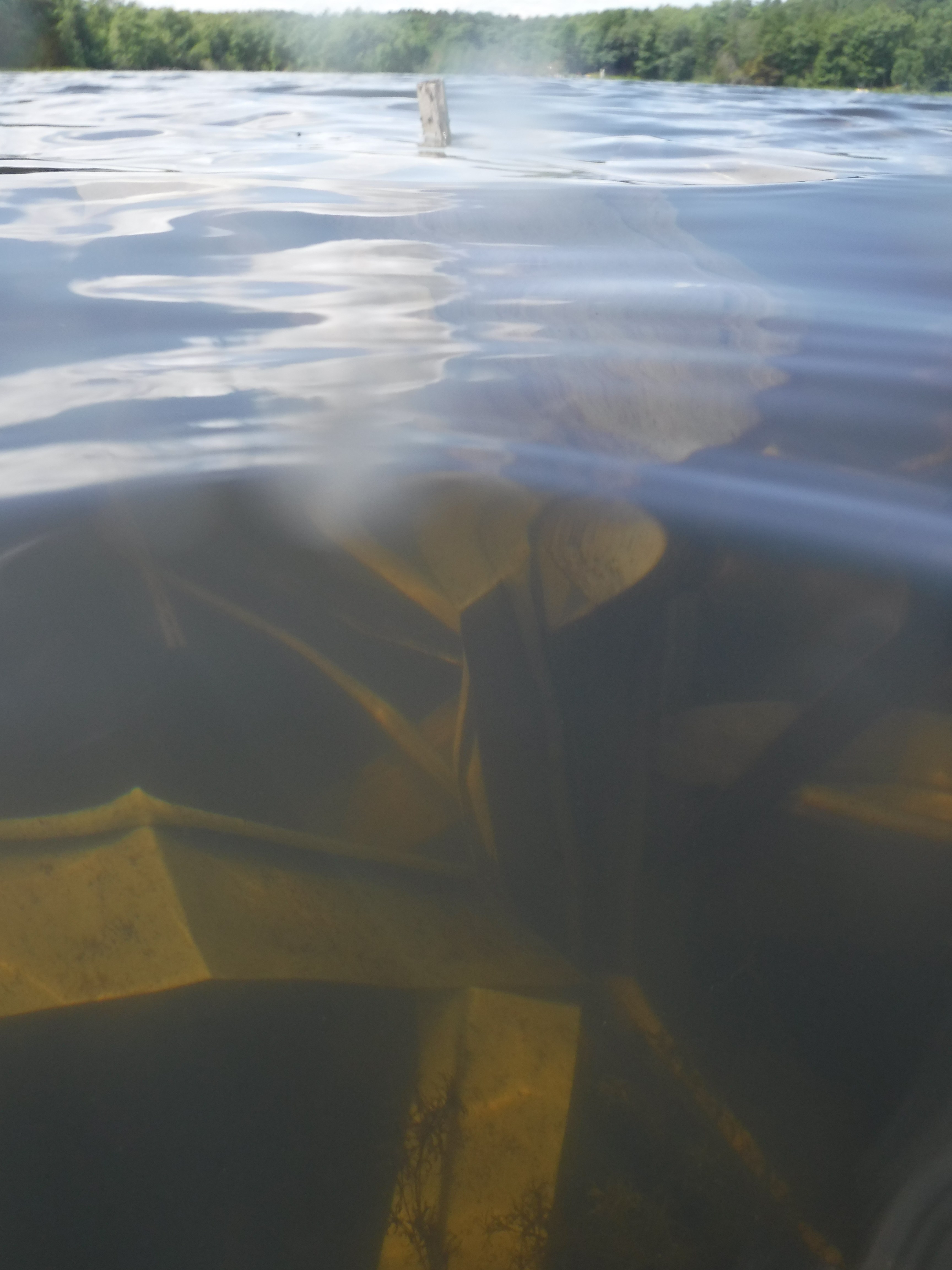 Safehouse Artificial Fish Habitat, view 10