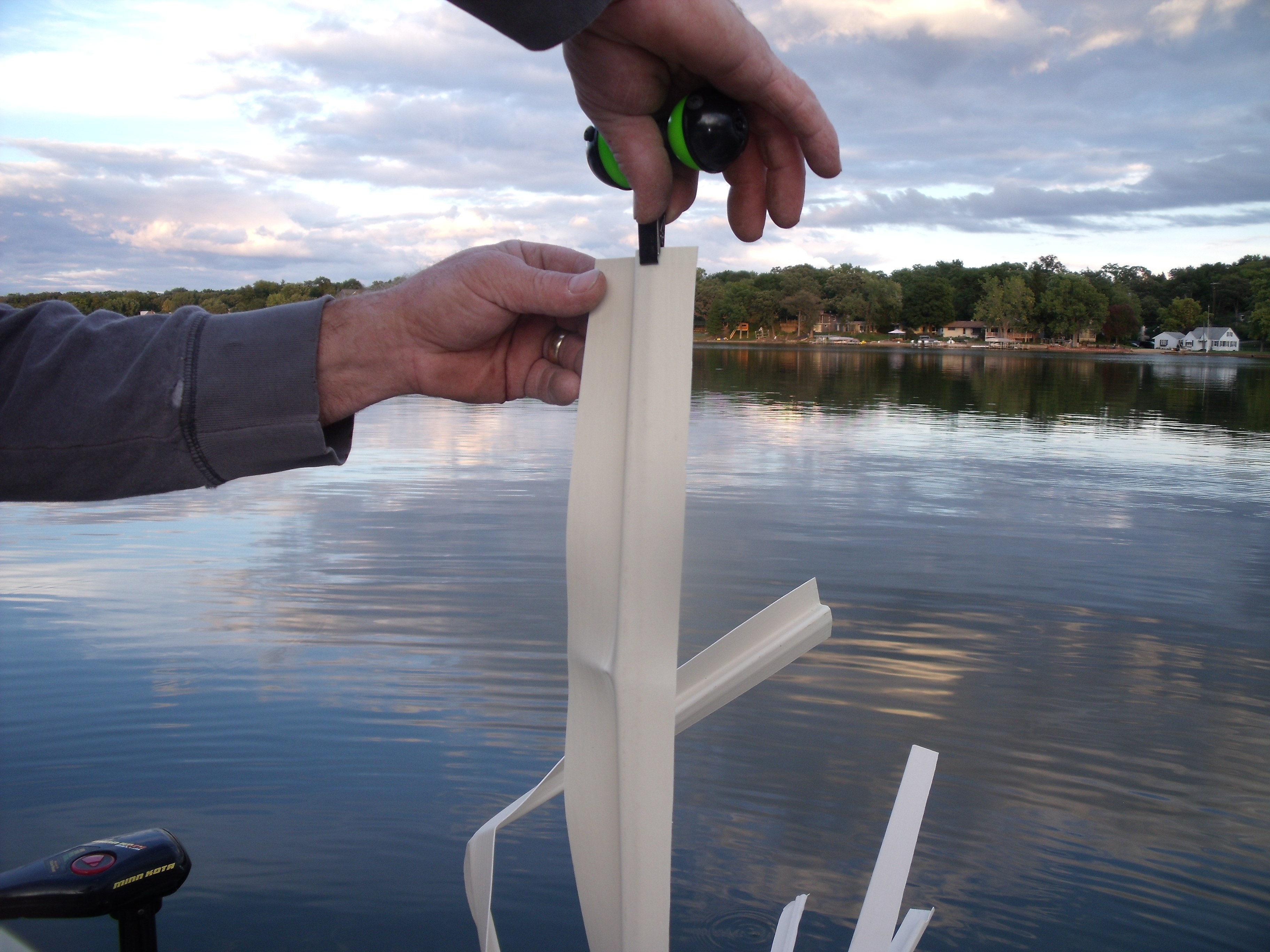 Smallspot fish structure spots, view 7