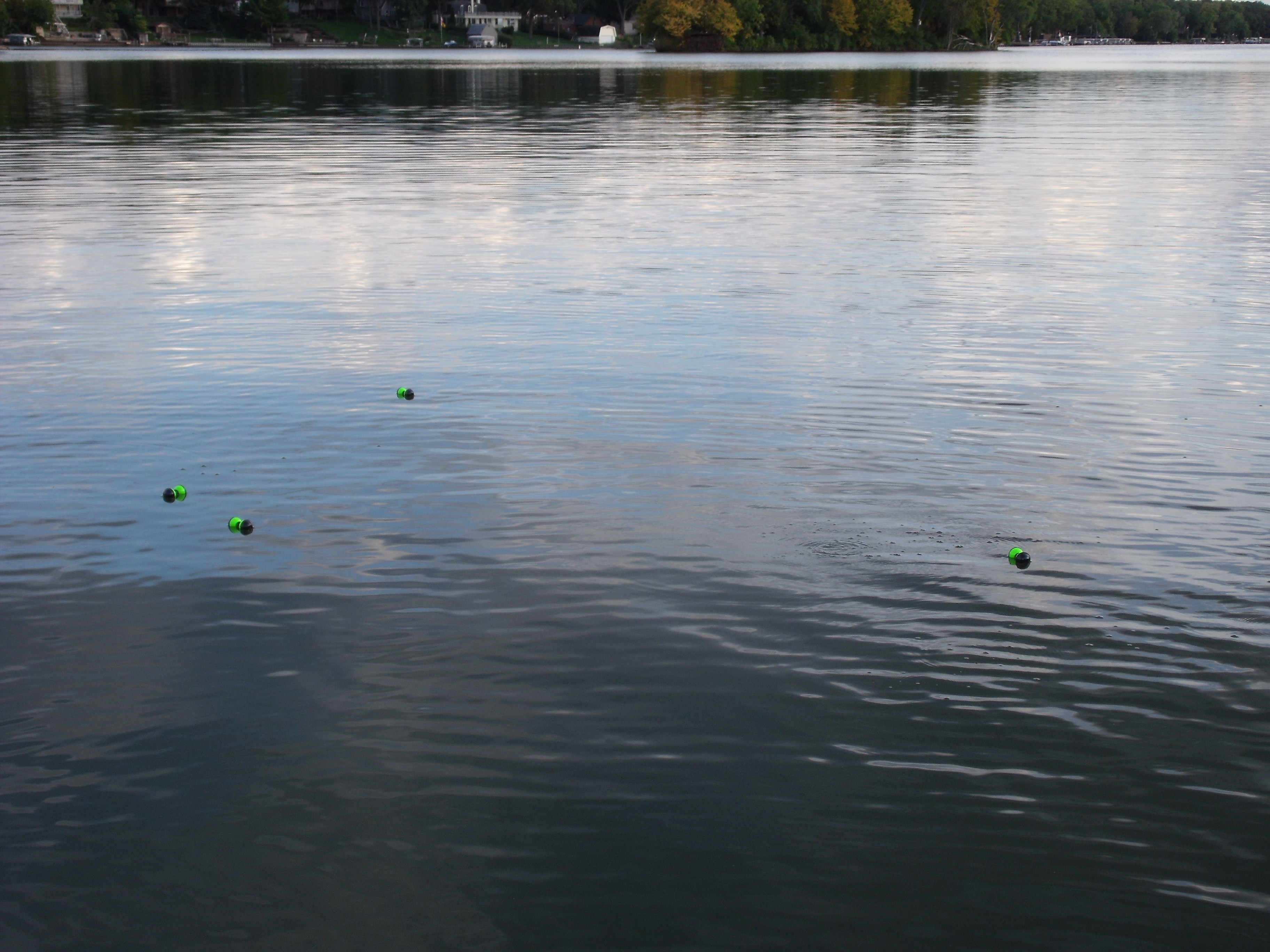 Smallspot fish structure spots, view 9