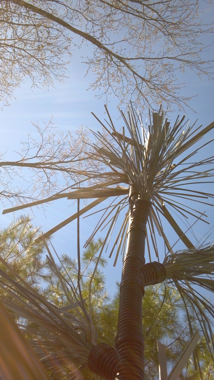 Twelve foot fish tree with Vertical UpRise