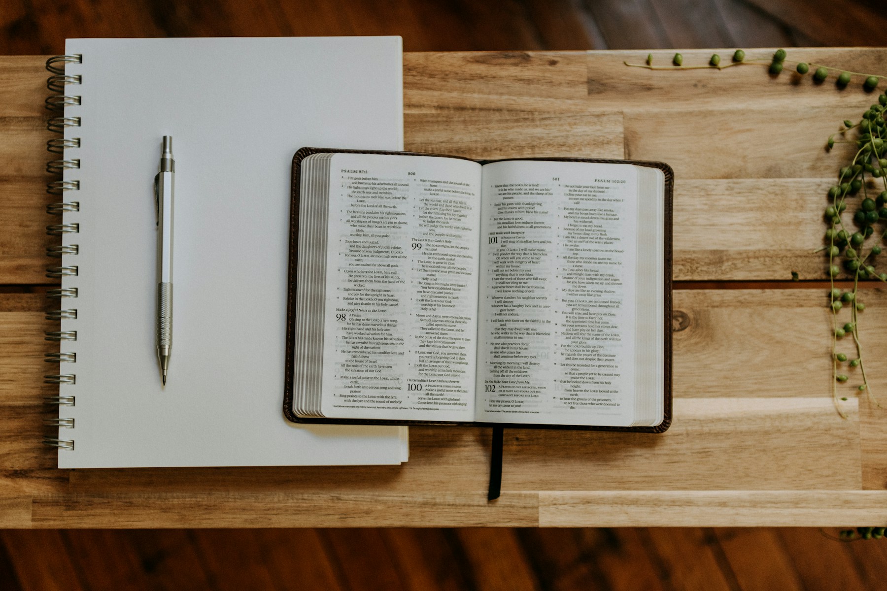 An open Bible, lined notebook, pen, and green leaves arranged for a quiet study time
