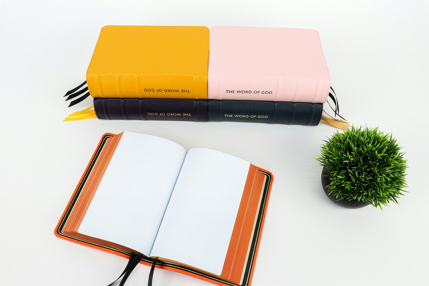 Open Bibles arranged beside a small plant for a quiet devotional moment