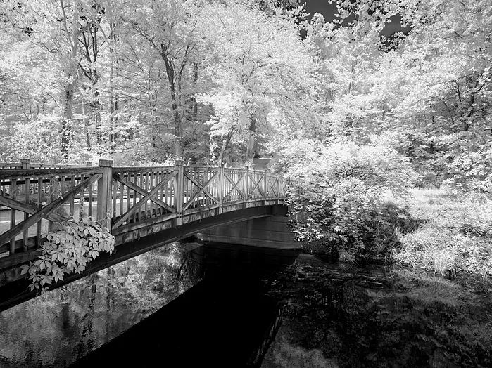 A photograph of an angler on a bridge above water.