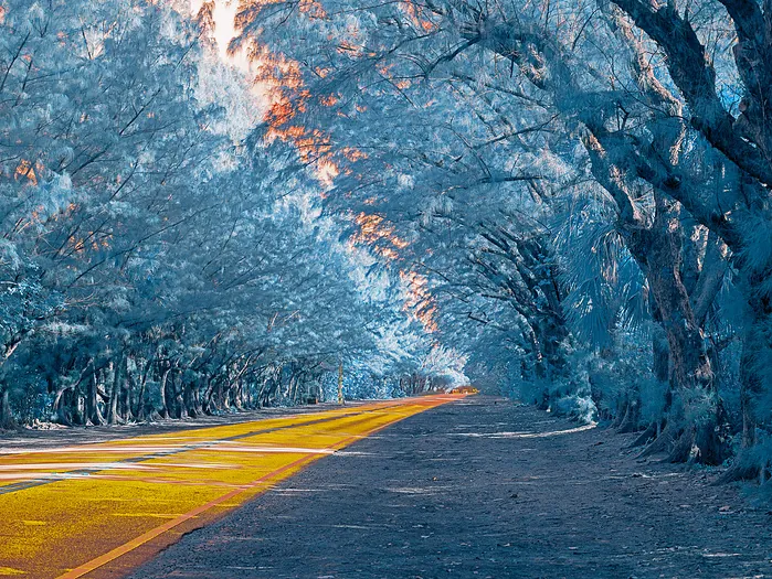 A warm-toned roadway photograph with strong lines.