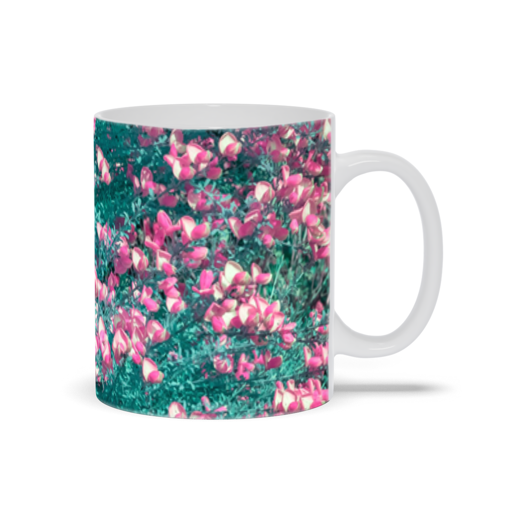 Study in Magenta & Teal by Aboud Dweck