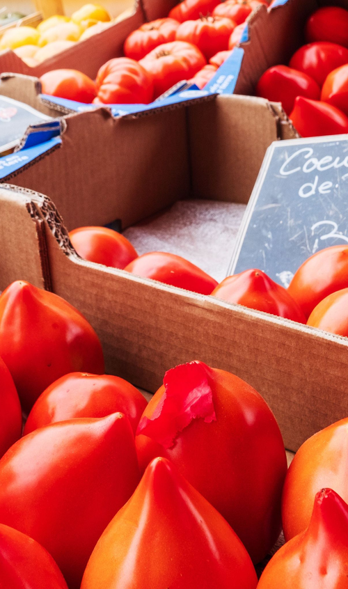 Tomatoes by Aboud Dweck