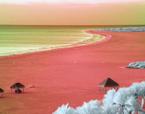 Crimson Coast by Aboud Dweck