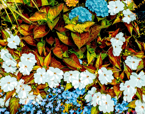 Metal Garden by Aboud Dweck