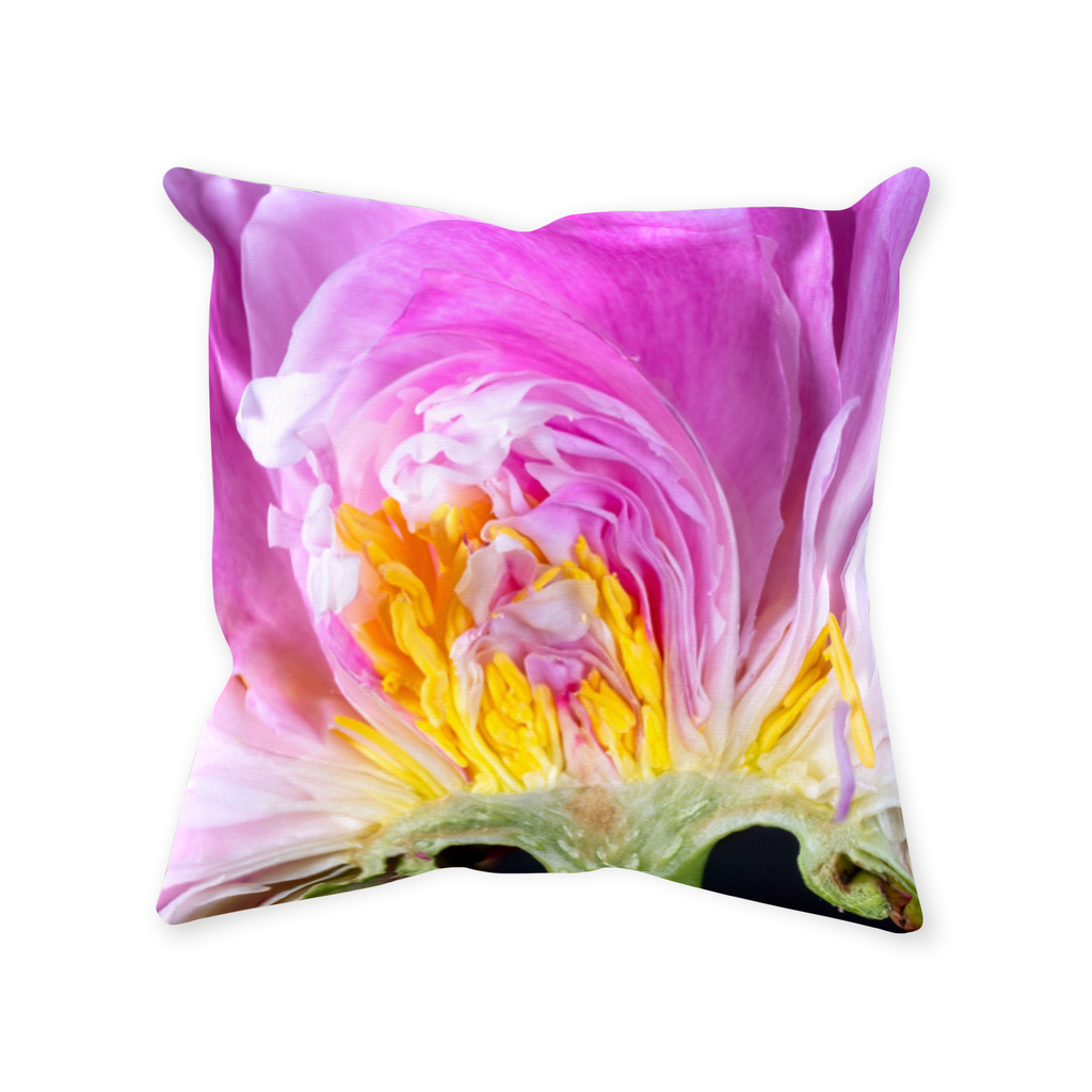 Peony crosscut by Aboud Dweck