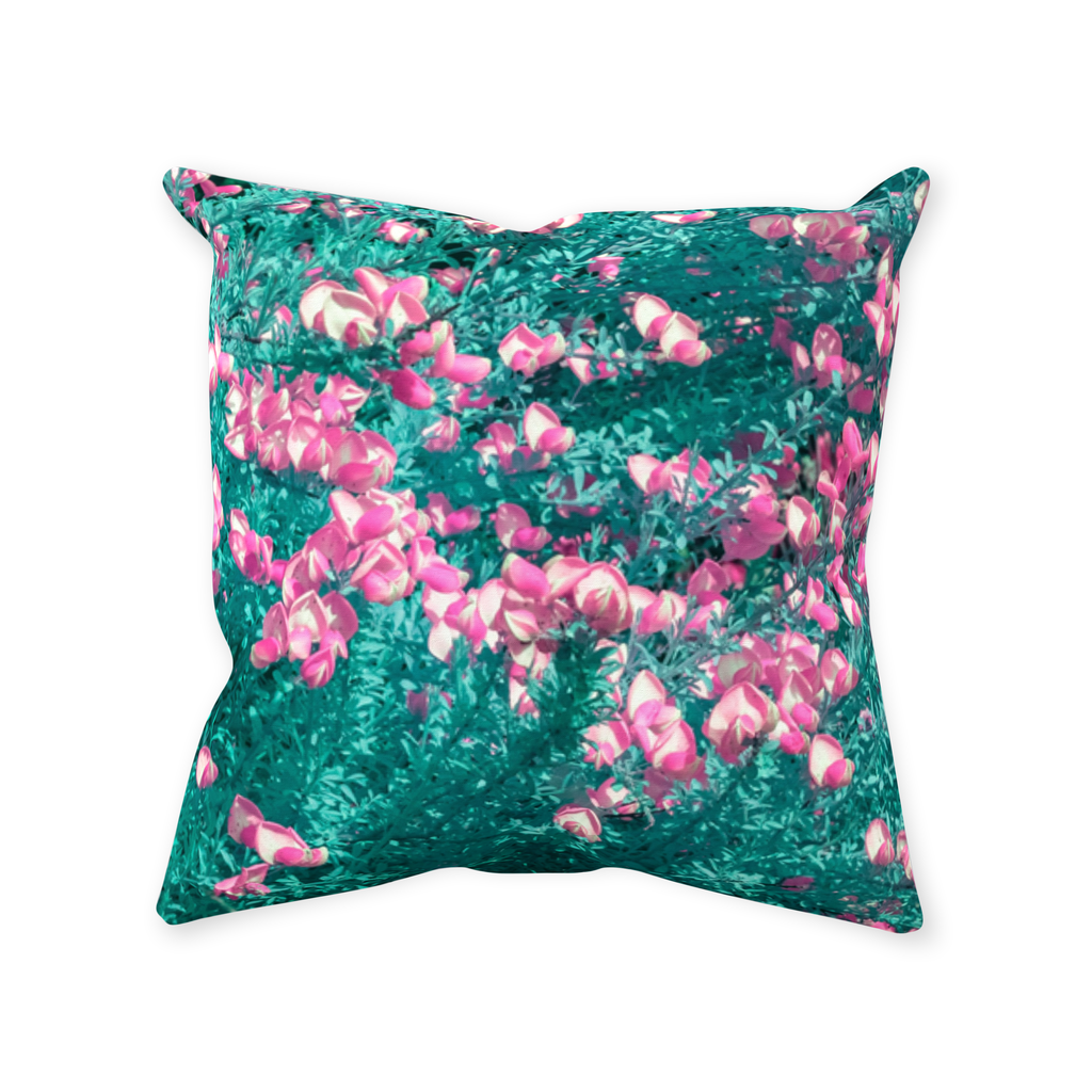 Study in Magenta & Teal by Aboud Dweck