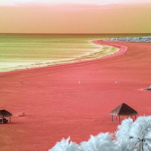 Crimson Coast by Aboud Dweck