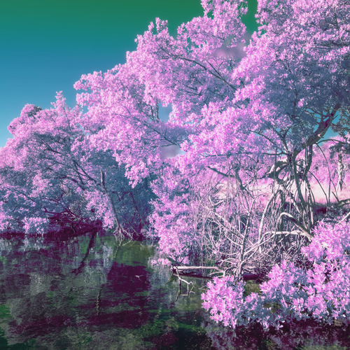 Magenta to Turqoise by Aboud Dweck
