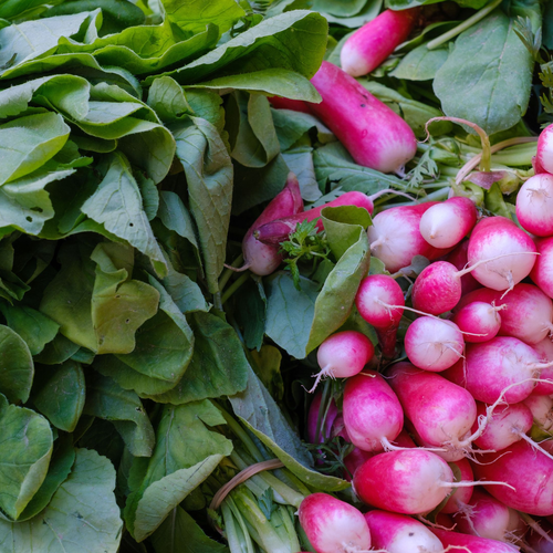 radishes by Aboud Dweck