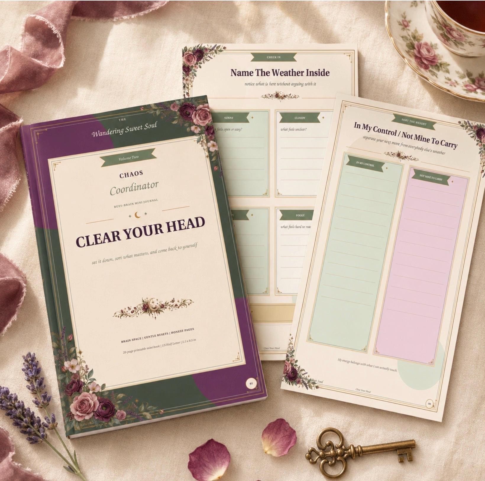 Printable Mini Journal for Emotional Check-Ins, Thought Ci preview 2