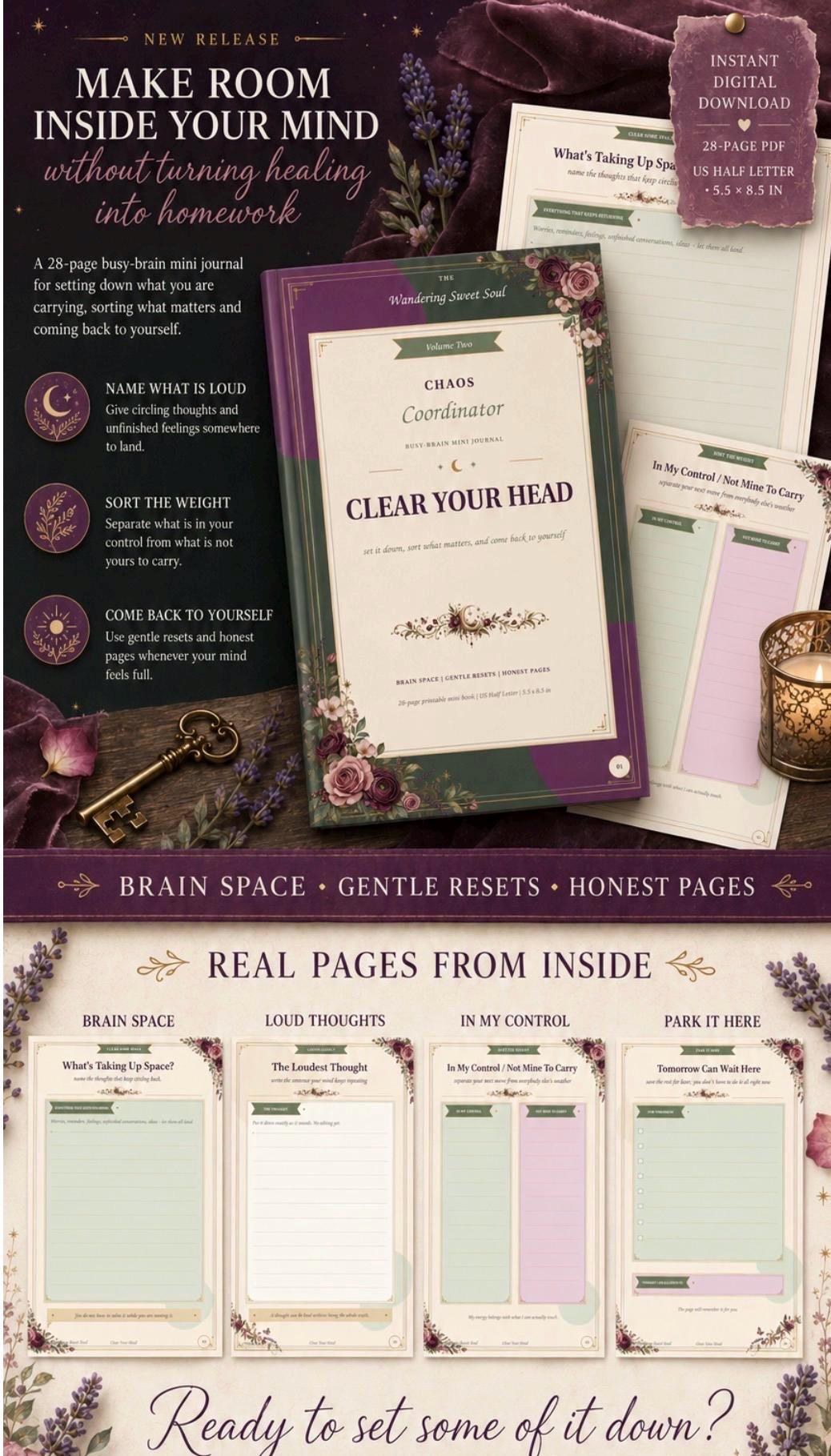 Printable Mini Journal for Emotional Check-Ins, Thought Ci preview 3