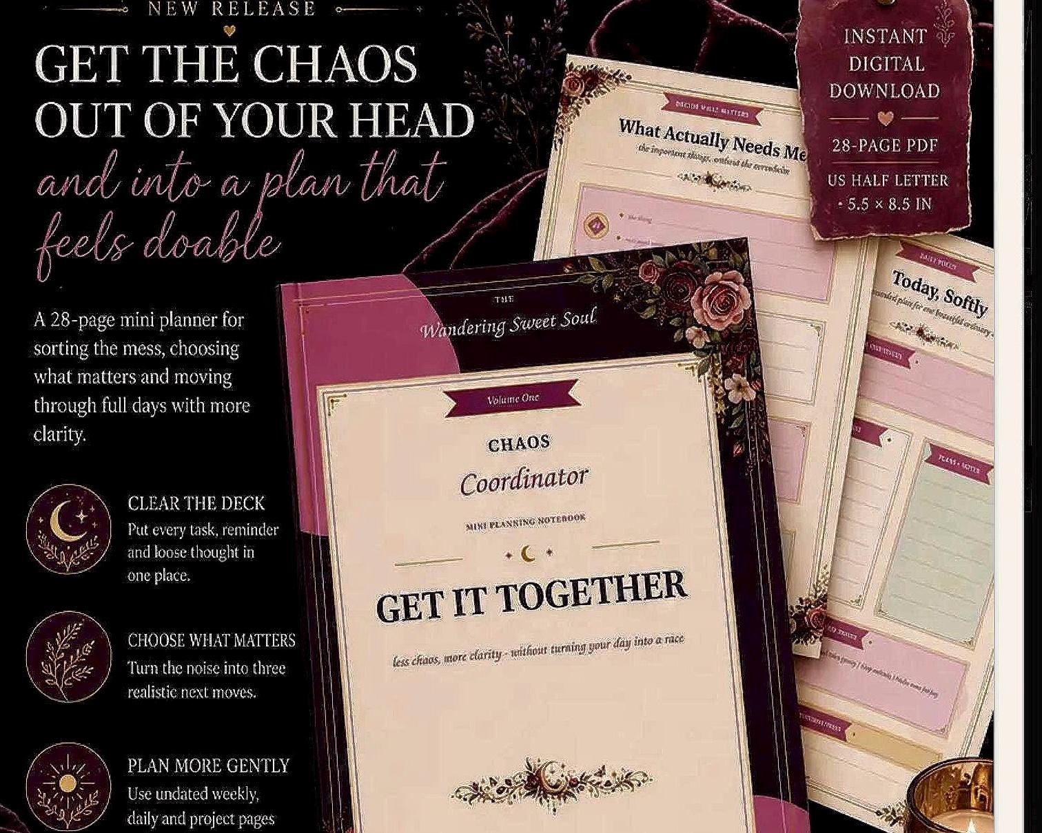 Chaos Coordinator Mini Planner , Undated Weekly Organizer preview 3