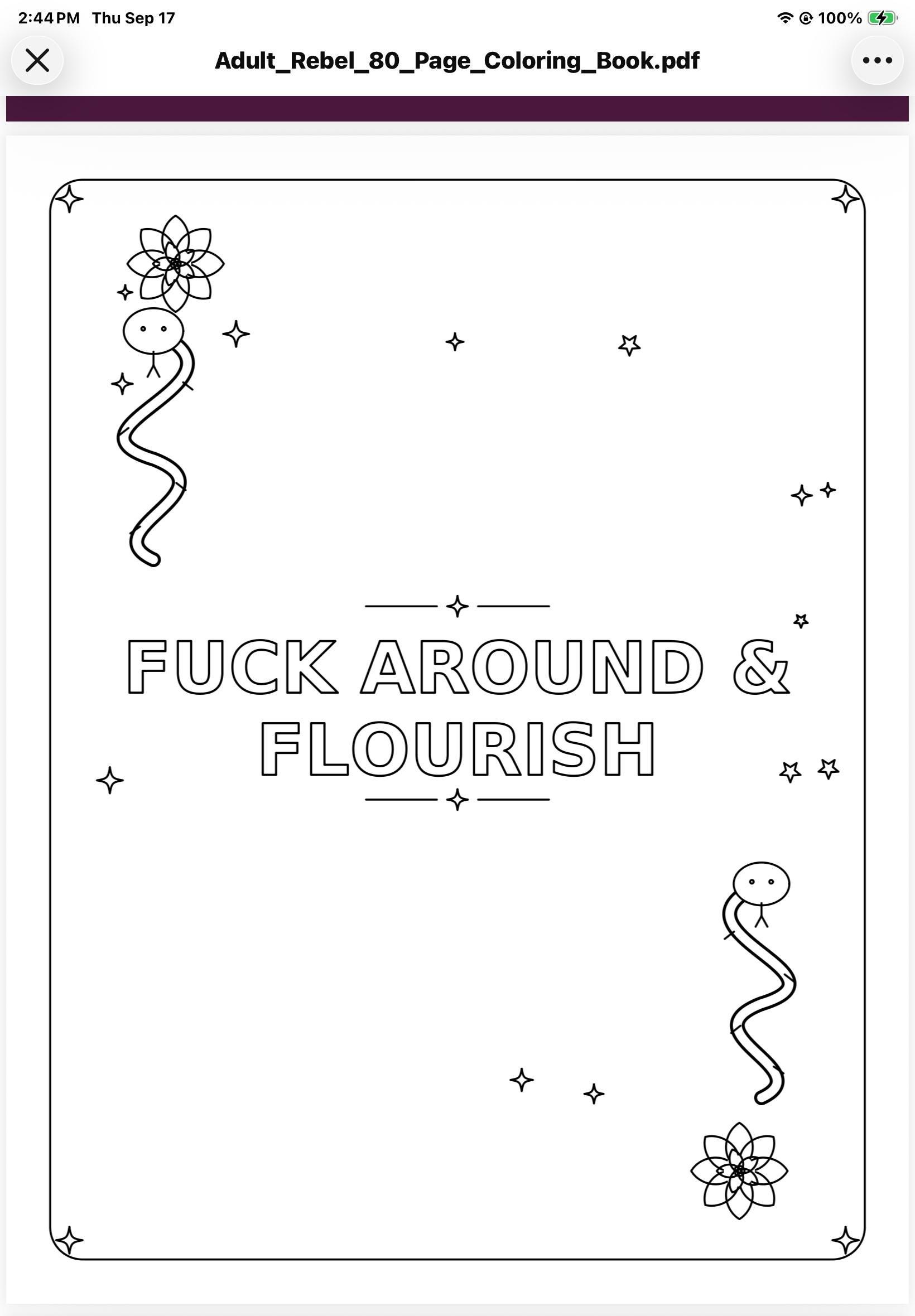 30 Bold Swear Word Coloring Pages with Mandalas, Skulls, F preview 8