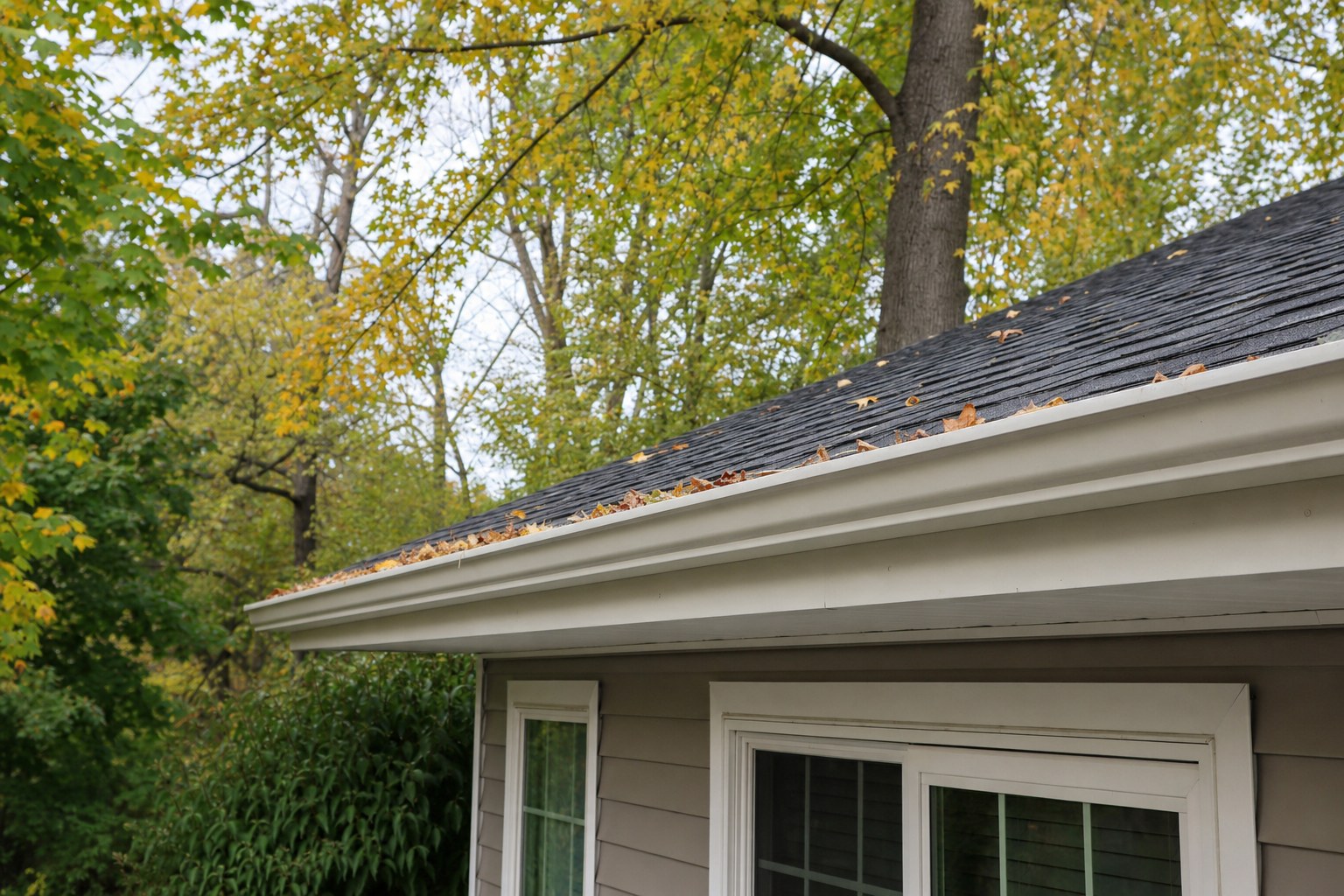 Residential gutter beneath mature trees with early fall leaves near the roof edge