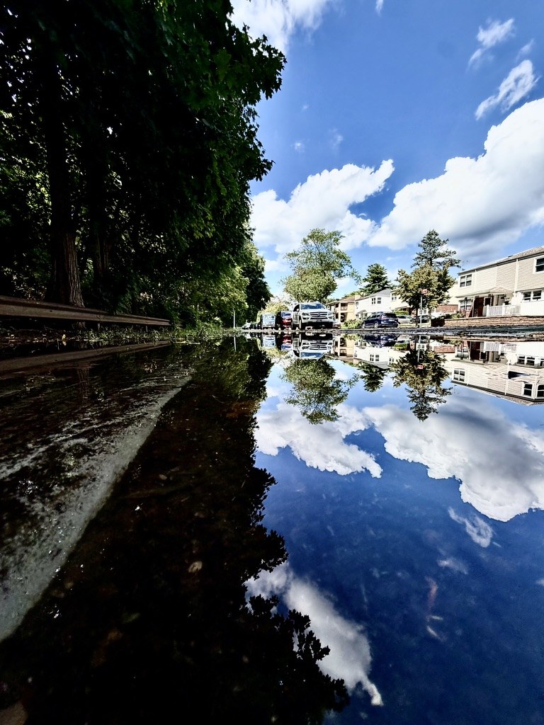 Trees and clouds reflected in water