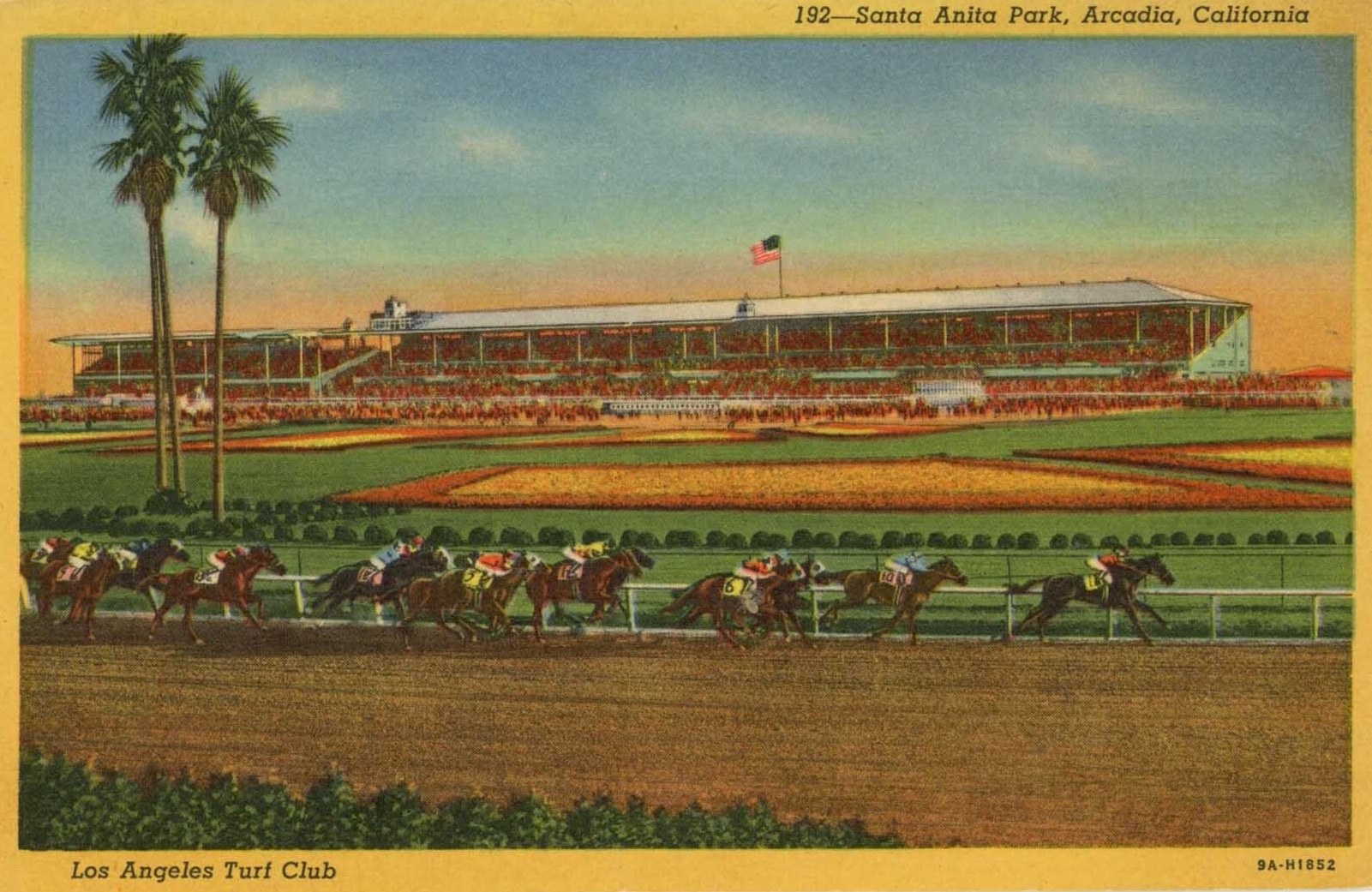 Vintage postcard of Santa Anita Park in Arcadia, California, featuring a horse race with several horses in competition, surrounded by palm trees and a grandstand in the background.