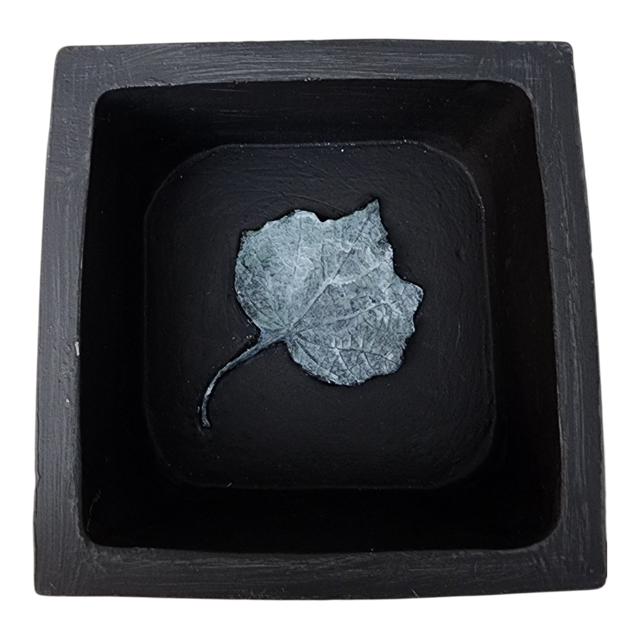 Pressed Botanical Relic Box 1 – Handcrafted Textural Fern Art, view 2