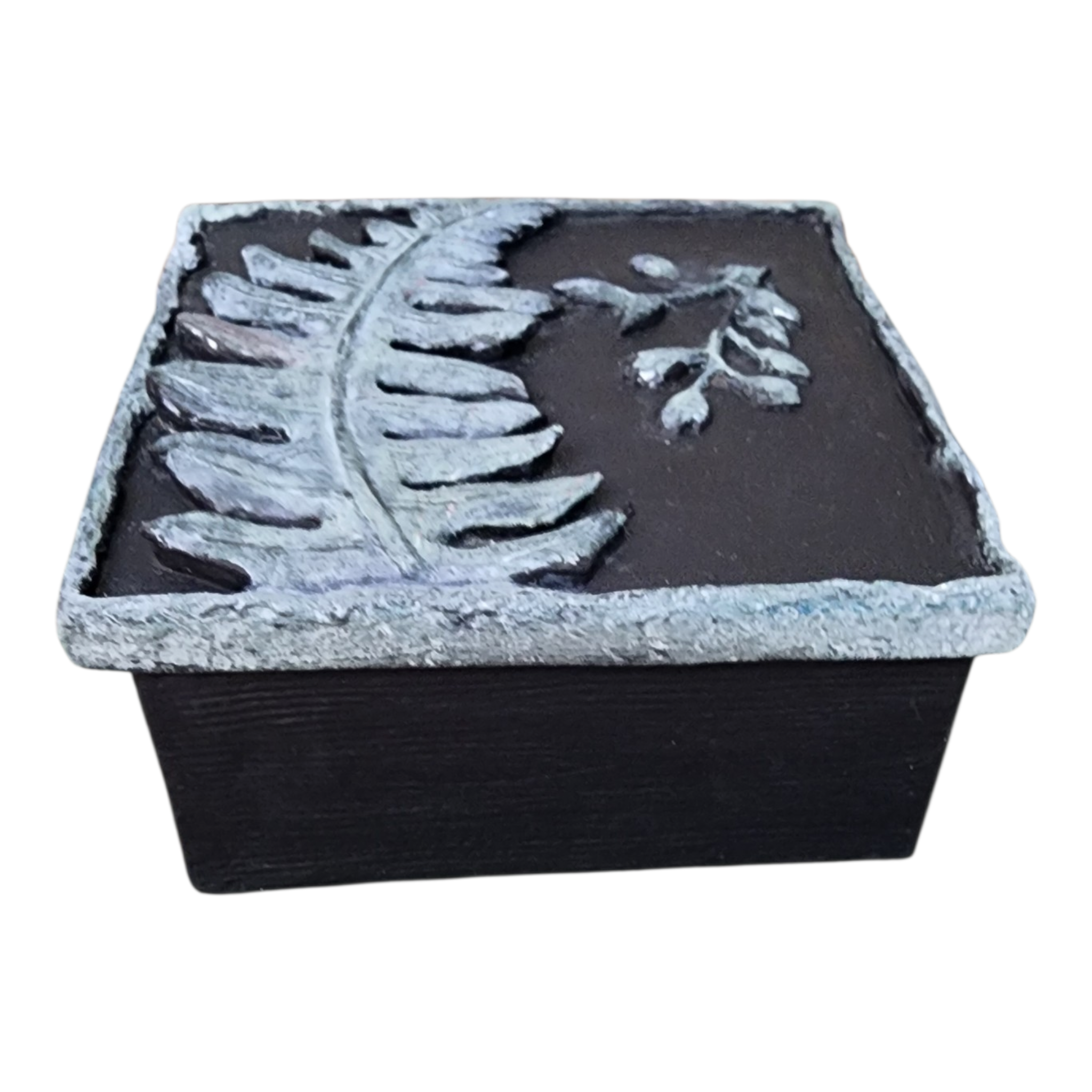 Pressed Botanical Relic Box 1 – Handcrafted Textural Fern Art, view 4