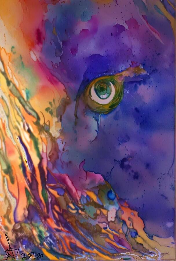 Vibrant Abstract Eye Composition