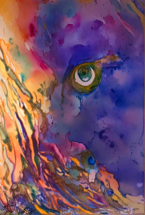 Vibrant Abstract Eye Composition
