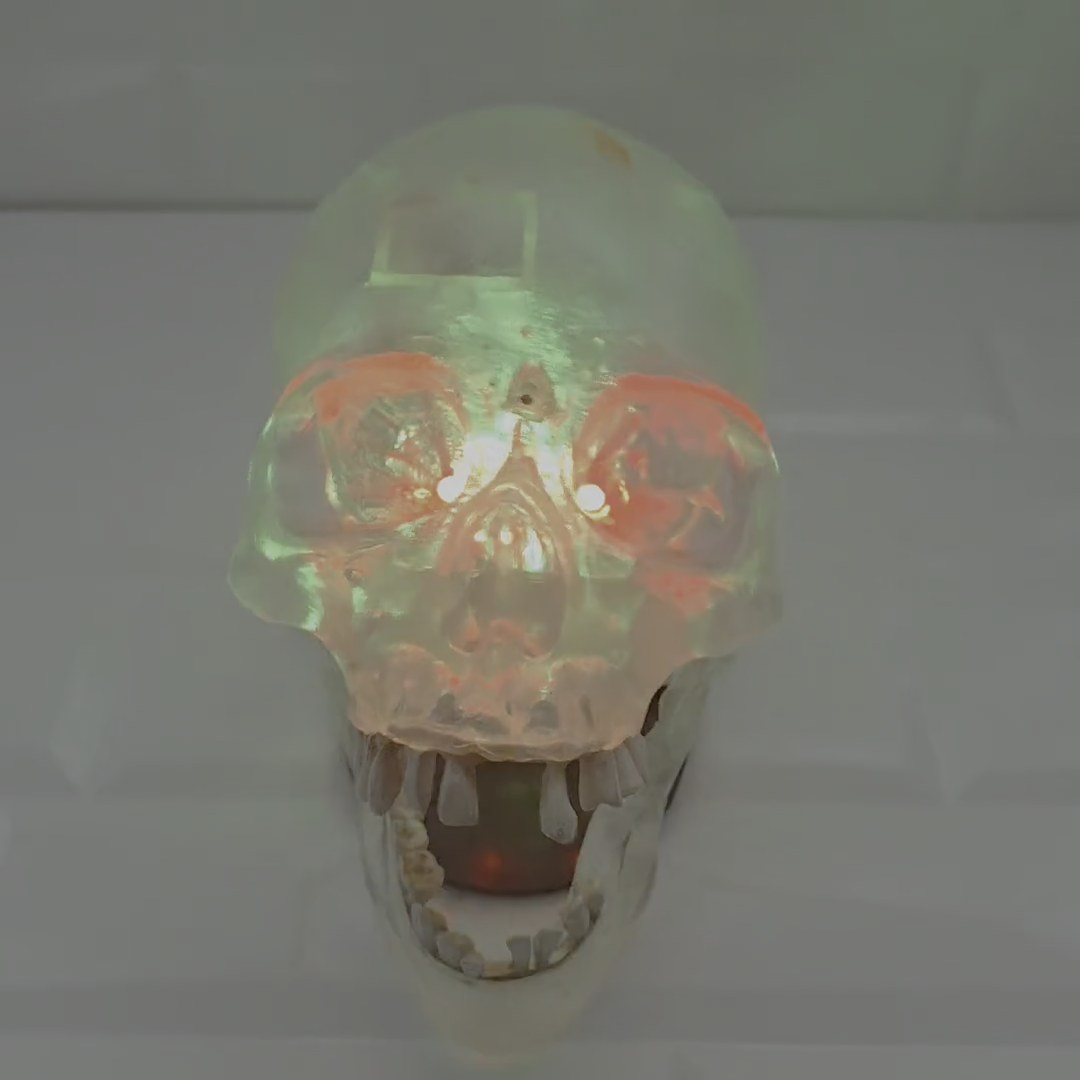 2010 Gemmy Crystal Scary Skull